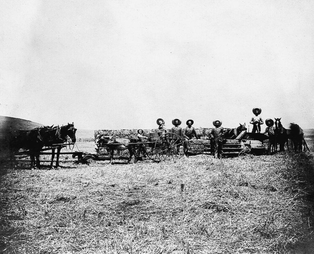 Madera County Agriculture in 1905