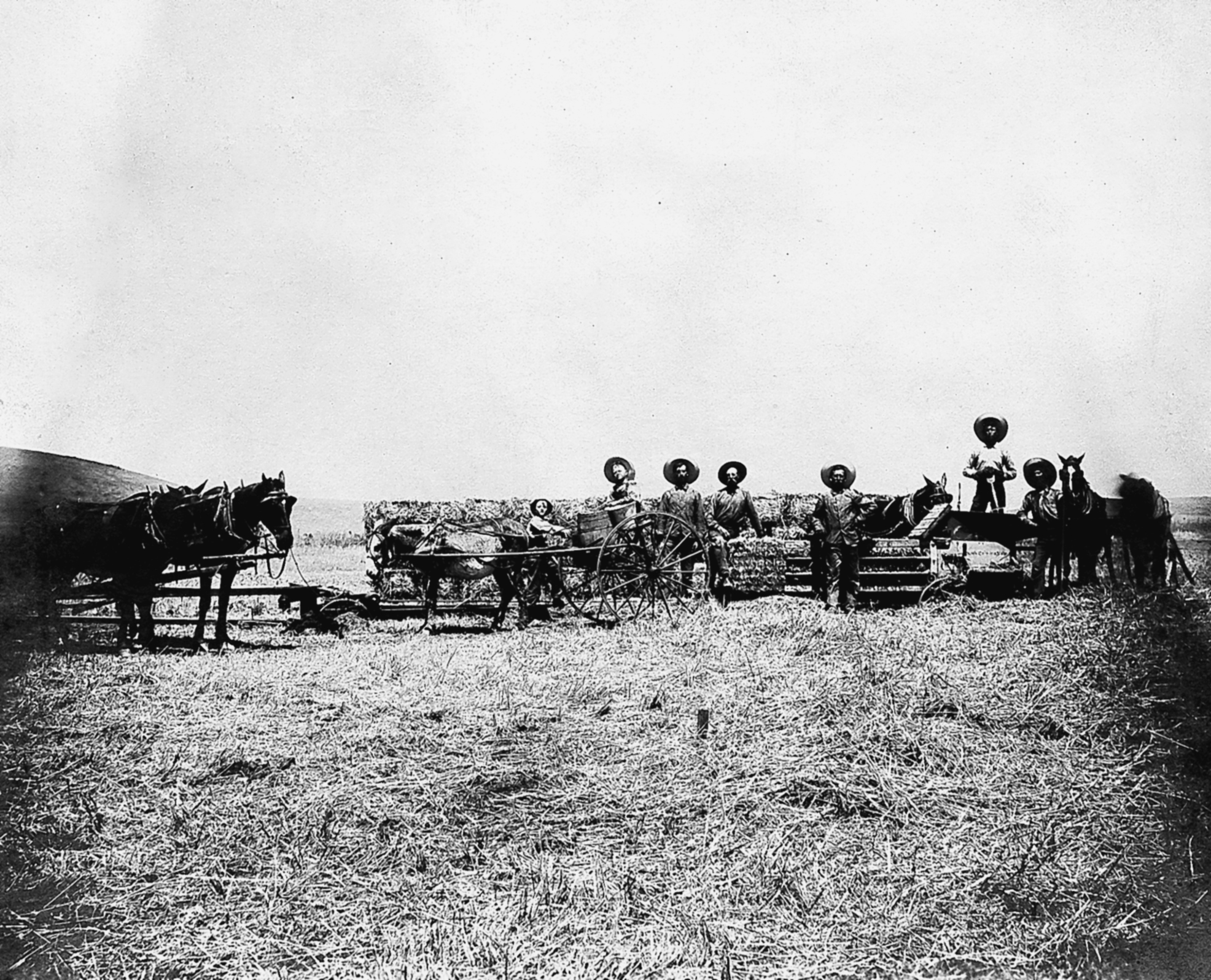 Madera Agriculture In 1905 - The Madera Method