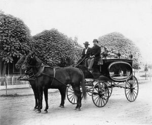 Shown here on a horse-drawn hearse are Jay (in the derby) and Cornelius Curtin, owner of Curtin’s Livery Stable, at the reins