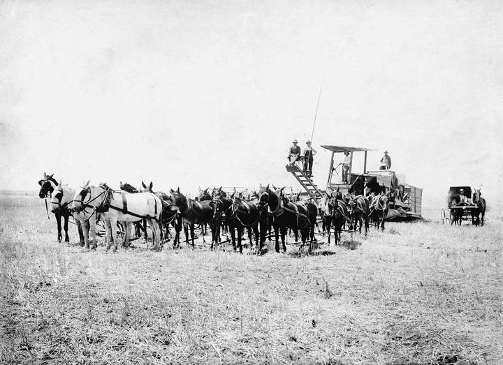 Photo of the Schmitz Ranch workers
