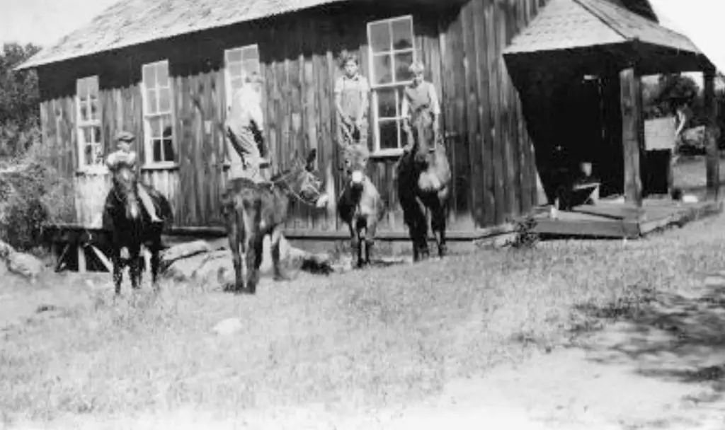 picture of Green School taken in 1895