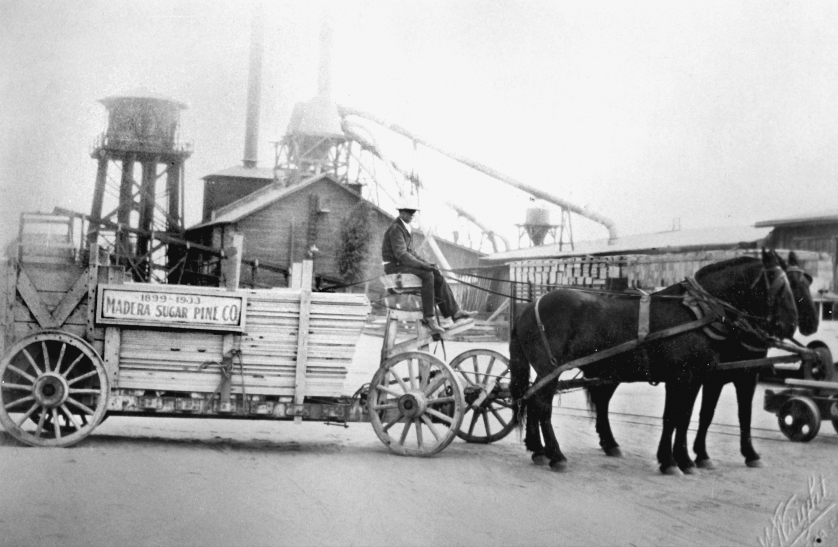 The Madera Sugar Pine Lumber company was the economic force that brought Madera into the 20th century after the town almost died in its infancy in the 19th century. By the time the Great Depression shut down its mills in 1933, agriculture had emerged to give Madera the strength it needed to survive.